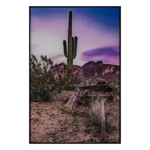 Mesa