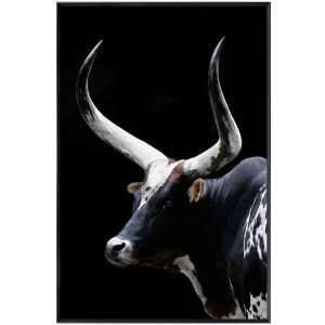 Midnight Horns Framed Print