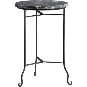 Black Petrified Wood And Metal Round Accent/end Table