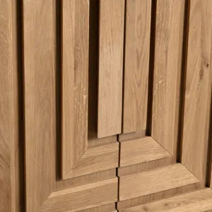 Two-door Tall Shoe Cabinet