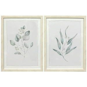 Beach Botanicals