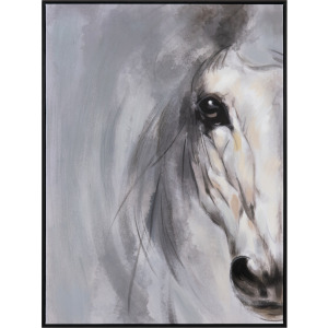 Equine Views