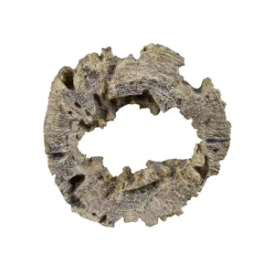 BROWN LIFE RING WALL D&Eacute;COR