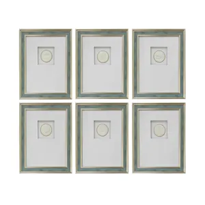 Bradenton 6-piece Botanical Medallion Framed Wall Art Set
