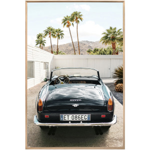 Palm Springs Cruisin’ Framed Print