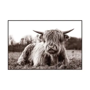Long Hair Don\'t Care Rustic Highland Cow Framed Print