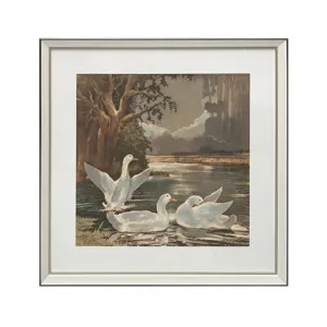 Swan Lakes Waterfowl Framed Print