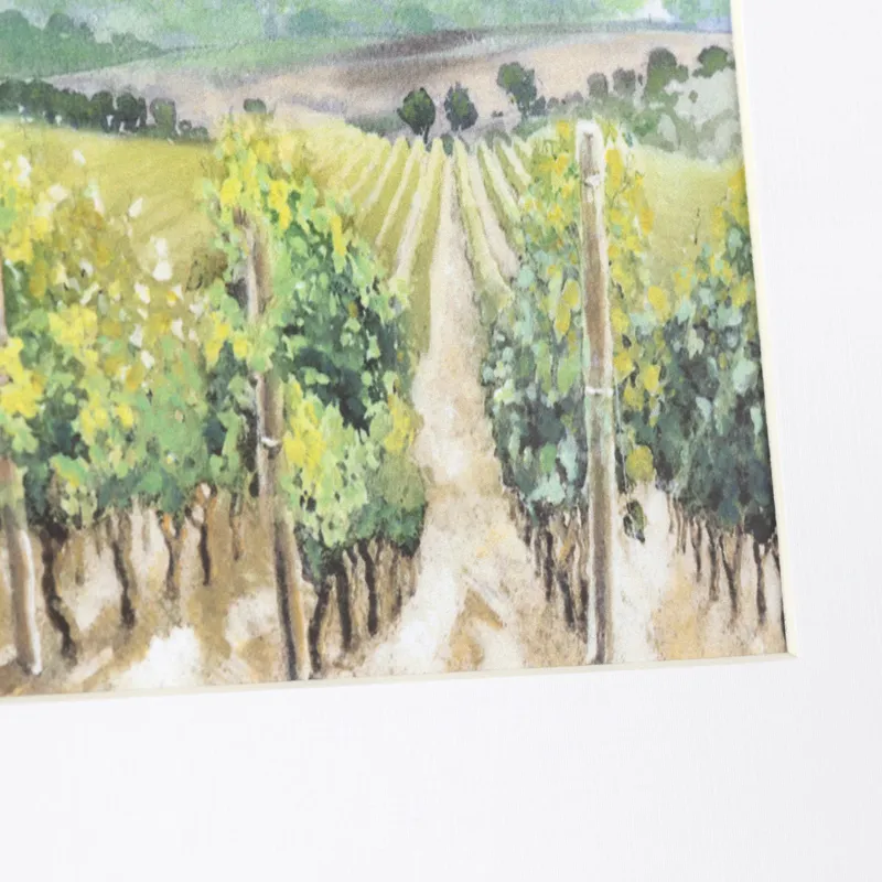 Vineyards