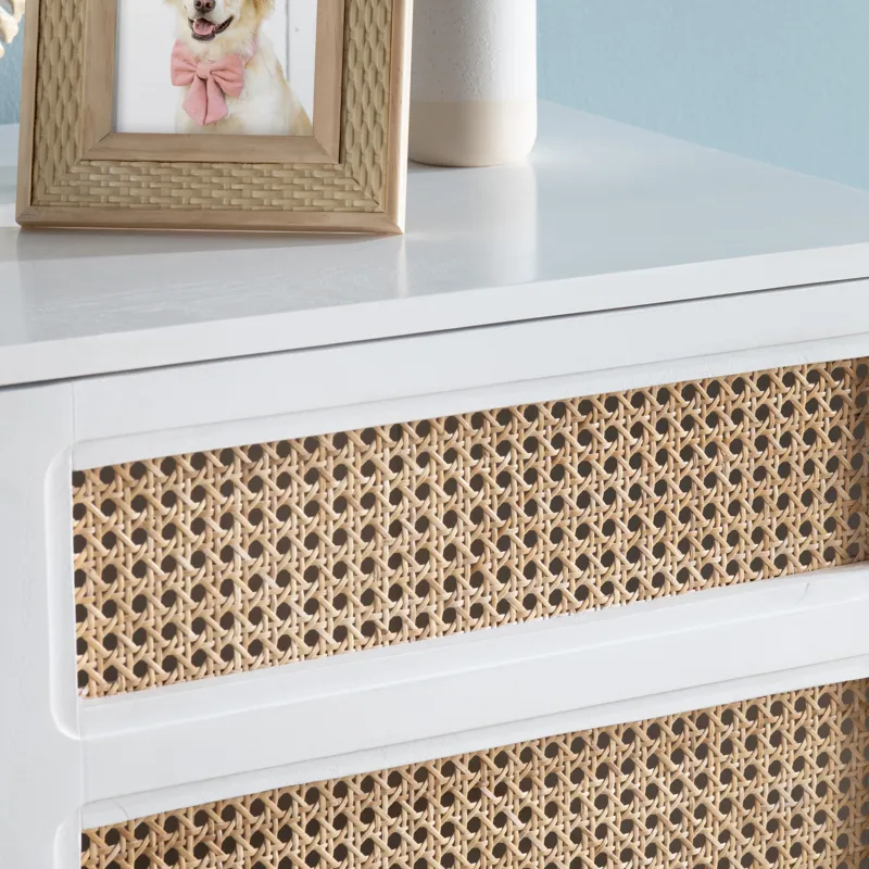 Two-door Cabinet