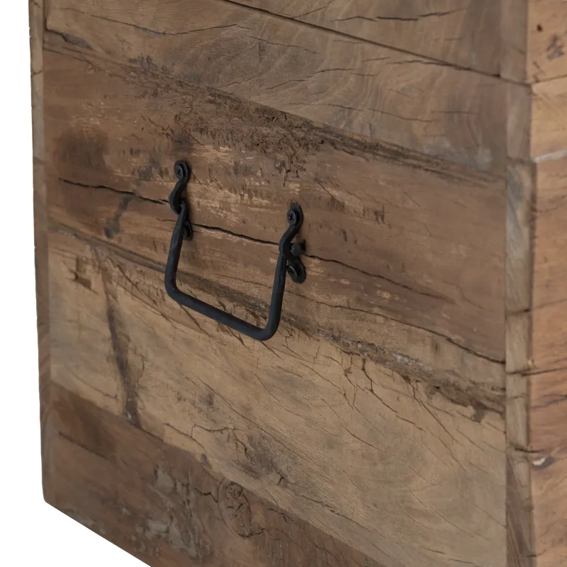 Storage Trunk