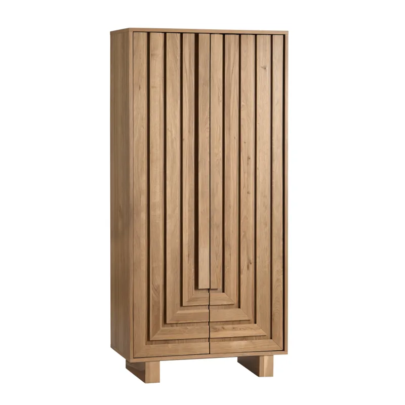 Two-door Tall Shoe Cabinet