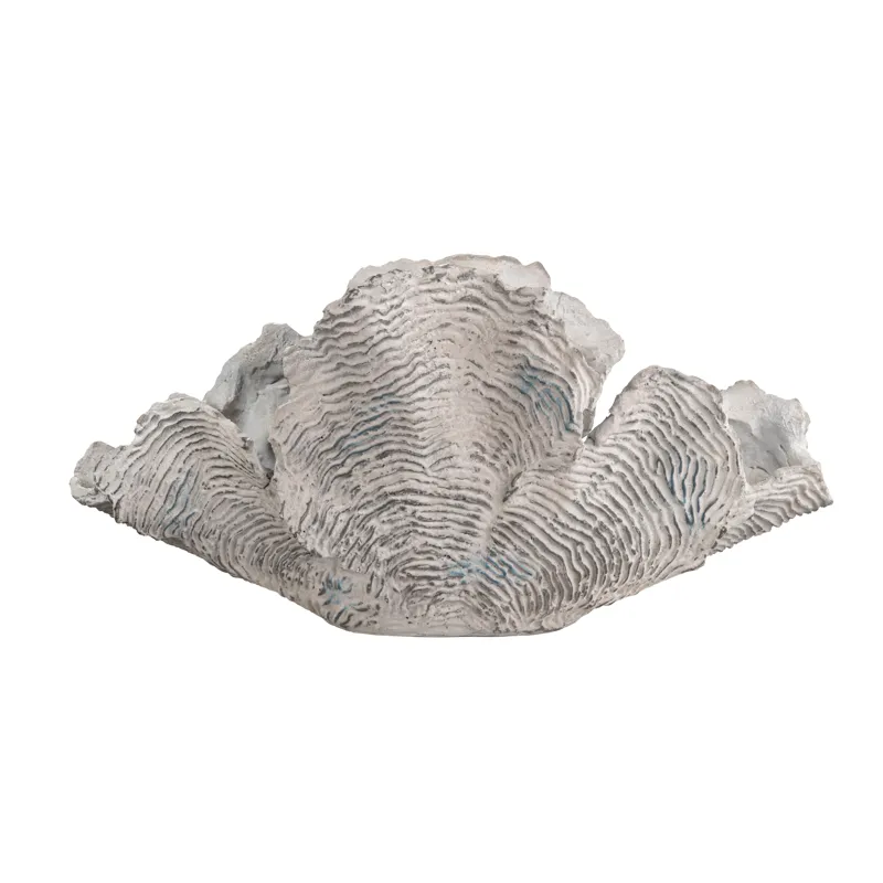 Deacon Coral Sculpture