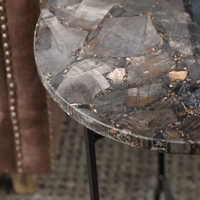 Black Petrified Wood And Metal Round Accent/end Table