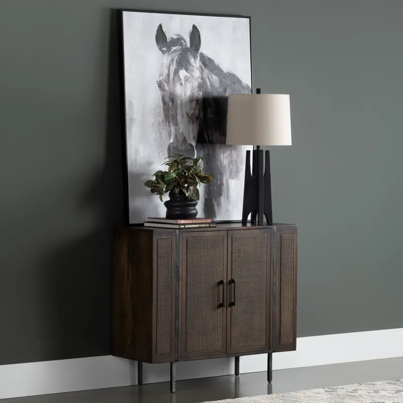 Rich Brown 2-door Media Accent Cabinet