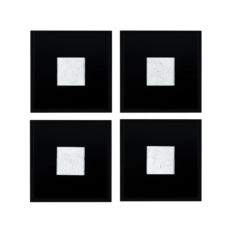Study In Black And White