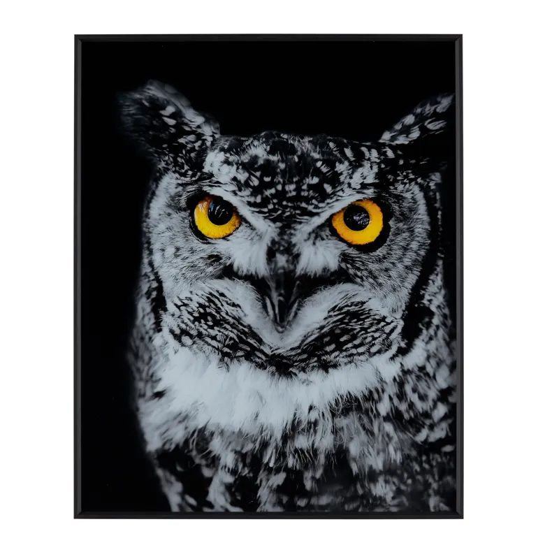 Hoot