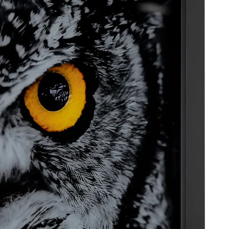Hoot