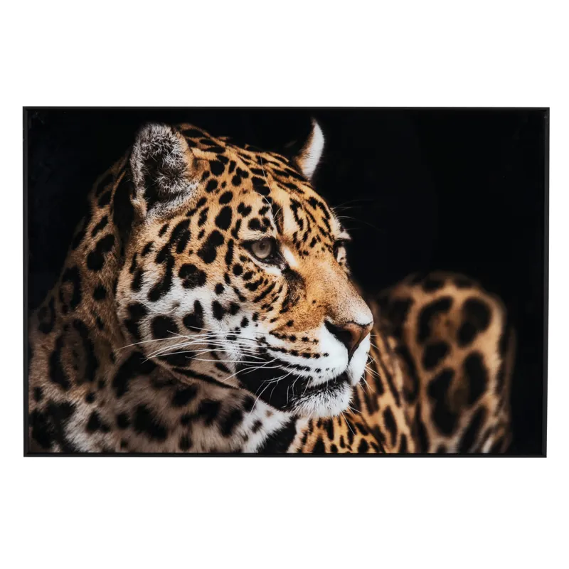 Jag