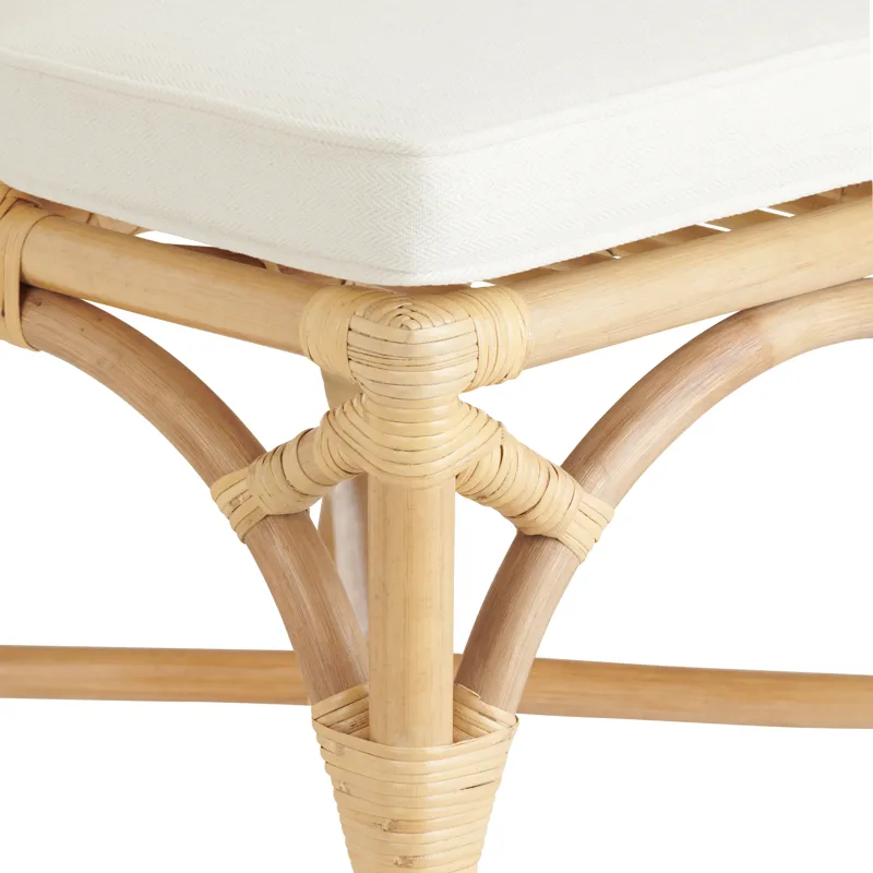 Set Of 2 Capri Cane/rattan Dining Chairs With Cushion
