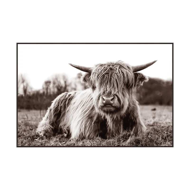 Long Hair Don\'t Care Rustic Highland Cow Framed Print