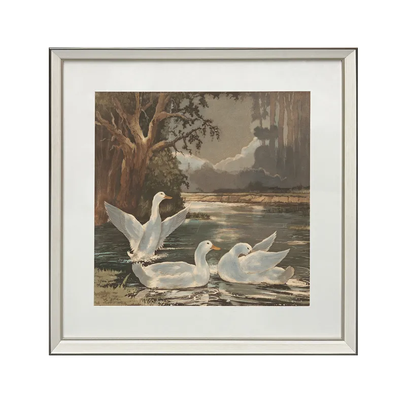 Swan Lakes Waterfowl Framed Print