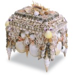 Boardwalk Shell Jewelry Box