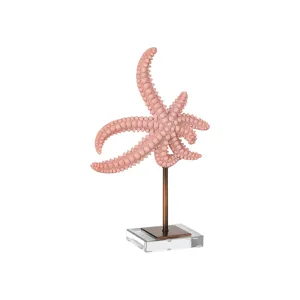 Starfish Set of 2