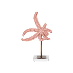 Starfish Set of 2