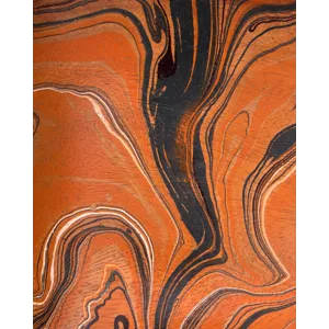 Divine Orange Tray Set of 2
