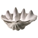 Clam Shell Bowl