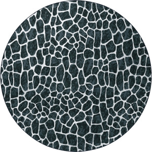 Akina Midnight 8' x 8' Round Rug