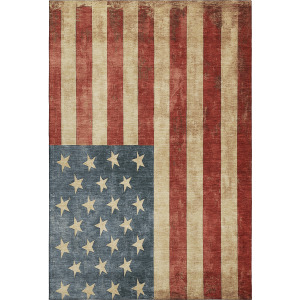 Machine Washable Indoor/Outdoor Americana Red Rug