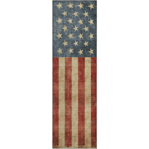 Machine Washable Indoor/Outdoor Americana Red 2'3