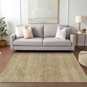 Luxury Washable Indoor/Outdoor Burano Wheat 3\' x 5\' Rug