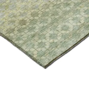 Luxury Washable Indoor/Outdoor Burano Aloe 1\'8\" x 2\'6\" Rug