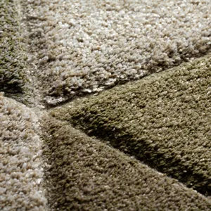 Carmona Cactus 9\'10\" x 13\'2\" Rug