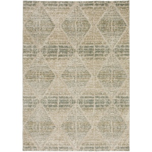 Carmona Mist Rug