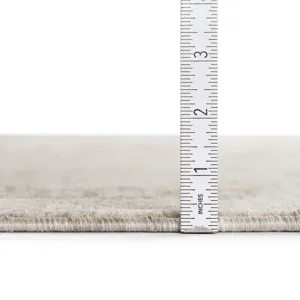 Cyprus Sage 5\' x 7\'10\" Rug