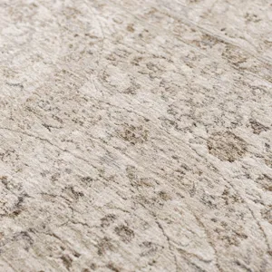 Cyprus Beige 5\' x 7\'10\" Rug