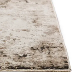 Denizi Putty 3\'3\" x 5\'3\" Rug