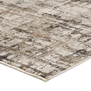 Denizi Putty 9\' x 13\'2\" Rug