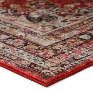Jericho Garnet 3\' x 5\' Rug
