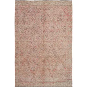 Indoor/Outdoor Karaj Pink 10\' x 14\' Rug