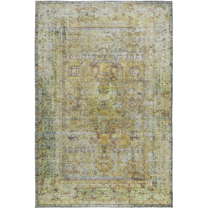 Indoor/Outdoor Karaj Aloe Rug