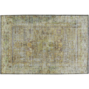 Indoor/Outdoor Karaj Aloe Rug
