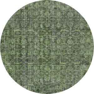 Indoor/Outdoor Karaj Cactus 8' x 8' Round Rug