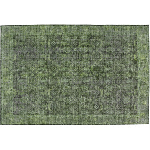 Indoor/Outdoor Karaj Cactus Rug