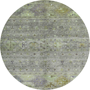Indoor/Outdoor Karaj Sage 8' x 8' Round Rug