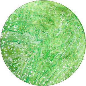Kikiamo Lime-In 8' x 8' Round Rug