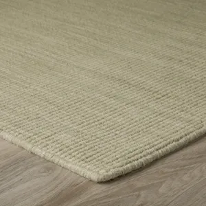 Monaco Sisal Aloe 2\' x 3\' Rug